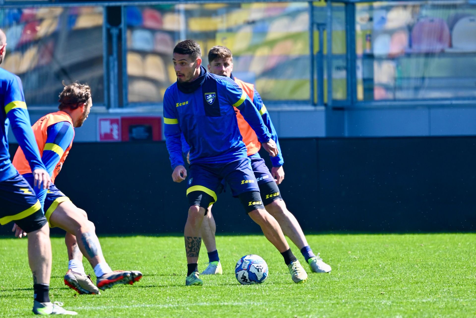 https://www.frosinonecalcio.com/wp-content/uploads/2025/03/0ec0403e-5b06-41b3-a247-0dfd07c8af31.jpeg